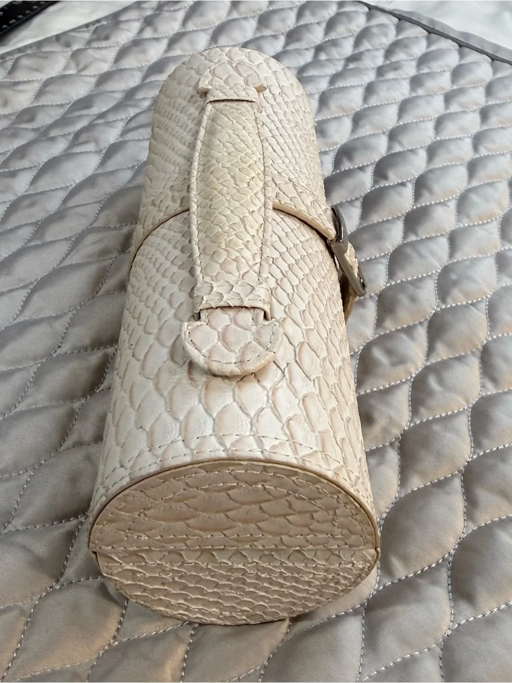 Cream Snakeskin textured Jewelry case with Silver Buckle